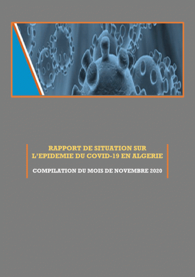 COMPILATION RAPPORTS DE SITUATION DU MOIS DE NOVEMBRE 2020